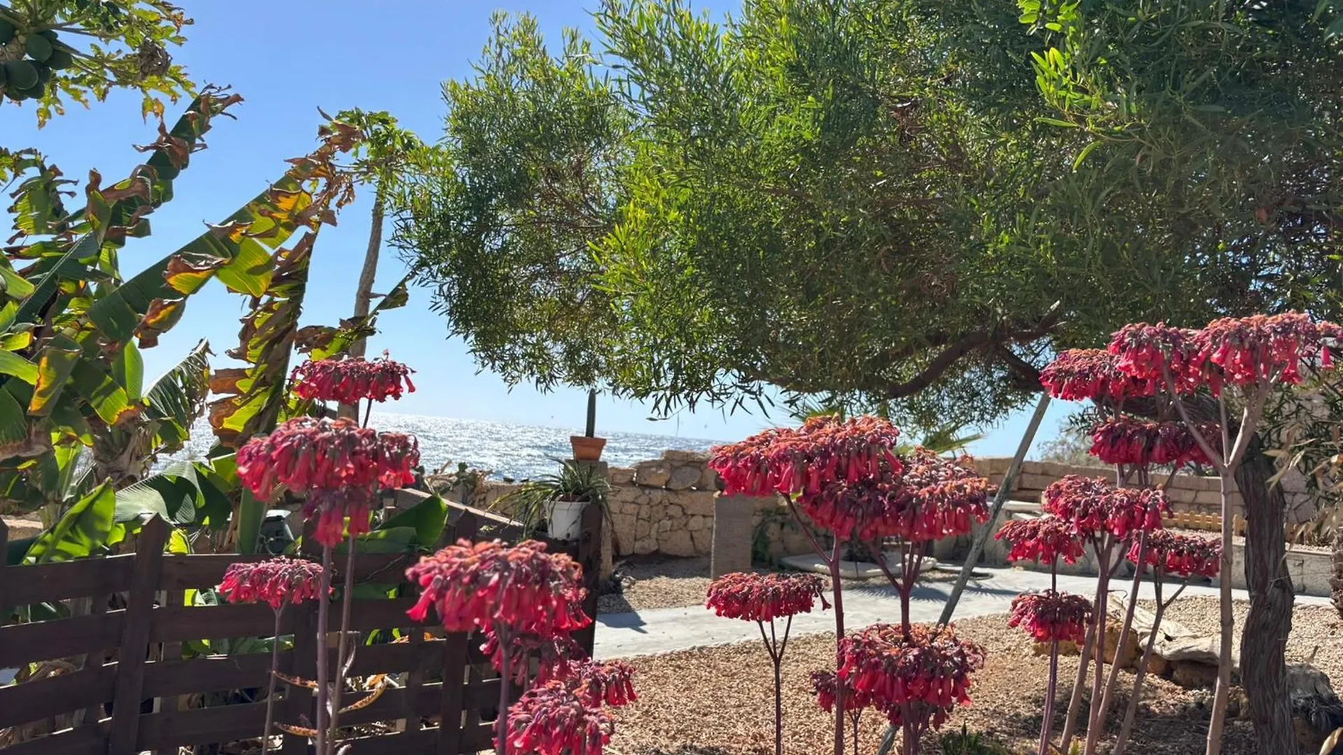 Little Paradise In El Medano Granadilla De Abona 0*,  Spain